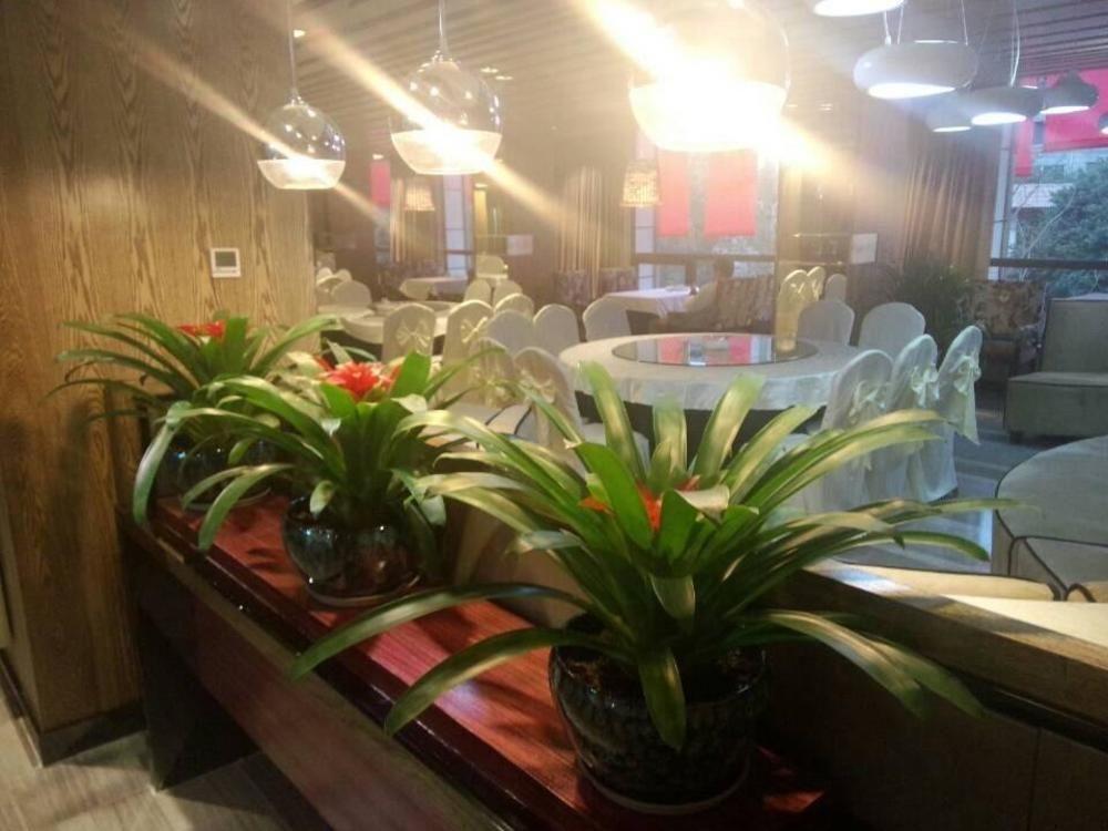 Chengdu Hello Hotel Shuangliu Bagian luar foto